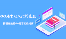 Go语言从入门到实战——简明高效的Go语言实战指南