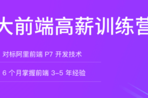 拉钩教育-大前端高薪训练营 NEXT计划|定制未来