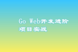 Go Web开发进阶项目实战（基于gin框架共81课时）