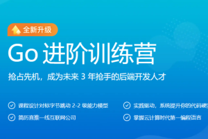 极客大学-Go进阶训练营第五期|2022年|完结无秘