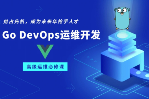 Go/Golang DevOps运维开发实战集训营