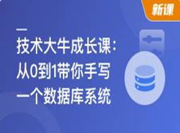 技术大牛成长课,从0到1带你手写一个数据库系统(超清完结)