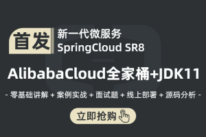 新一代微服务全家桶AlibabaCloud+SpringCloud实战