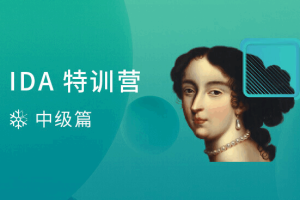 IDA 特训营
