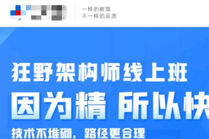黑马博学谷狂野架构师6期