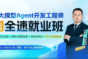 雷神-雷丰阳 Python大模型 Agent开发工程师
